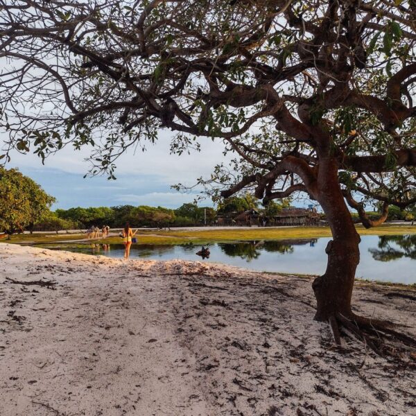 trekking nos lencois maranhenses