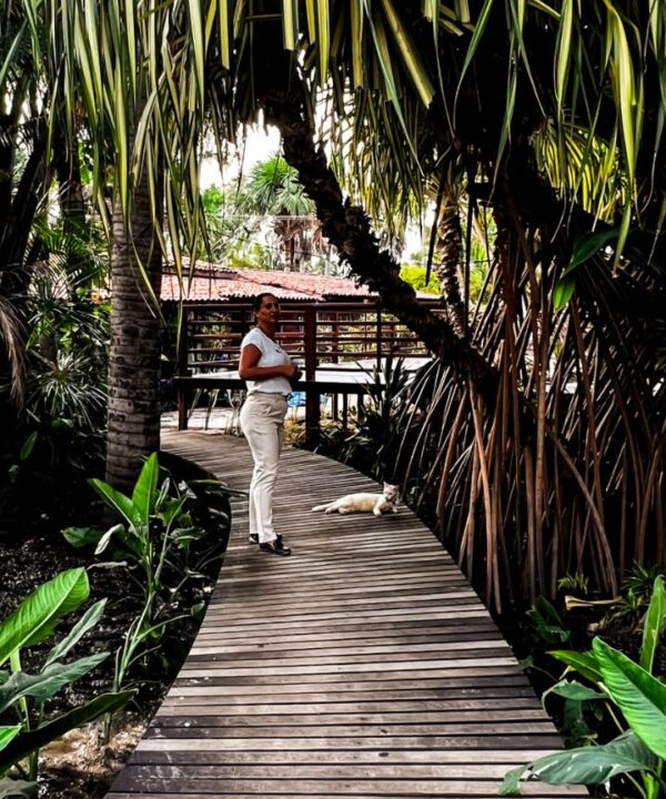 Encantes do Nordeste